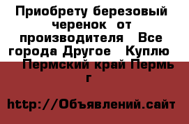 Приобрету березовый черенок  от производителя - Все города Другое » Куплю   . Пермский край,Пермь г.